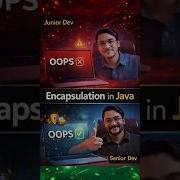 Инкапсуляция в Java Разработчик новичок против старшего разработчика
