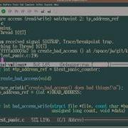LinuxCon2010 State Of Kernel Debugging Video 5 Of 6