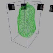 Shape Reconstruction From 3D And 2D Data Using PDE Based Deformable Surfaces