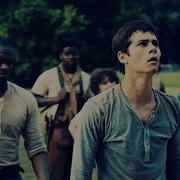 The Maze Runner Run Boy Run