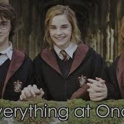 Harry Potter Everything At Once