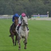 Logician Powers To Victory On Seasonal Debut
