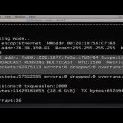 Scanning Exploiting Shellshock Vulnerability Through A Python Script