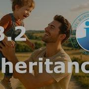 2025 IB Biology D3 2 Inheritance