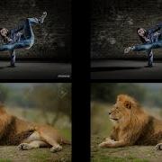 Digital Image Watermarking