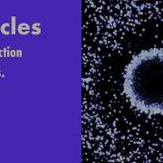 Tips And Tricks An Introduction To Particles In Cavalry Animation Software