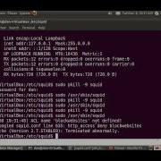 Install Configure Squid Proxy Server In Ubuntu 3 3 Beginner