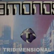 Tridimensional Vamonos