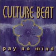 Pay No Mind Original Radio Edit