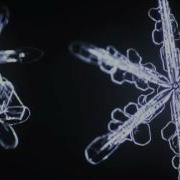 Six Sided Snowflakes Bloom In Slow Motion