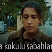 İstanbullu Gelin Yeni Türkü Akasya Kokulu Sabahlar