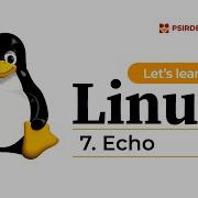 7 How To Use The Echo Command In Linux