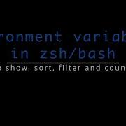 How To Show Sort Filter And Count Env Variables In Zsh And Bash MacOS Linux