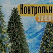 Искусственные ёлки ТВ шоу Контрольная закупка Победитель Green Trees