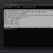 Python Website Scanner Tutorial 4 Nmap Port Scan