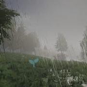 Wetness Maps Rain