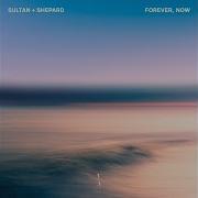 Forever Now Extended Mix