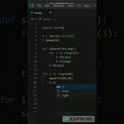 Circle Of Squares Python