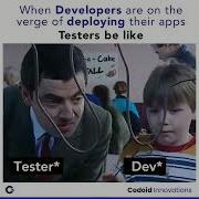 Developer And Tester Shorts