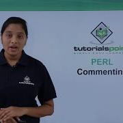 Perl Commenting