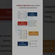 Python Libraries Every Data Scientist Should Know