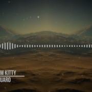 Electro Boom Kitty Saguaro
