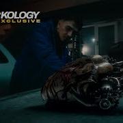 Jeff Redd Yalancısın Official Video