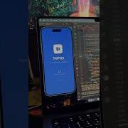 Fintech App With Flutter Wallet Loans Investments Ready To Go Shorts
