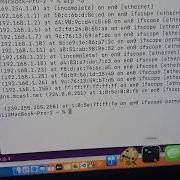 MAC Address Vendor Information REST API With Python Macvendorlookup Com