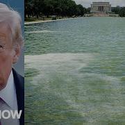 Blue Paint Peeling Off Lincoln Memorial Reflecting Pool After 14M Renovation