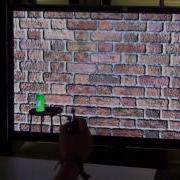 The Virtual Mitten