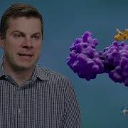 What Is Protein Degradation