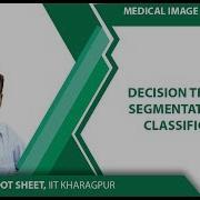 Decision Trees For Segmentation And Classification