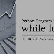 7 Python While Loop With Examples