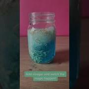 Dancing Rice Science Activity For Kids Shorts