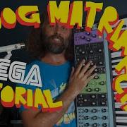 Moog Matriarch Mega Tutorial From Beginner To Nerd