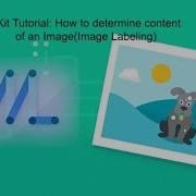 Demo ML Kit Tutorial How To Determine Content Of An Image Image Labeling