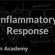 Inflammatory Response Human Anatomy And Physiology Health Medicine Khan Academy