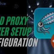 Boost Web Performance With Squid Proxy Server On Ubuntu 22 04