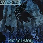 Seed Of Pain Flesh Steel Victory 2020 Full Album
