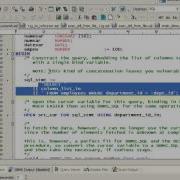 WRITING DYNAMIC SQL IN PLSQL 8