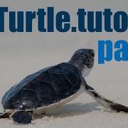 Python Turtle Tutorial Lesson 2 Colours And Styles