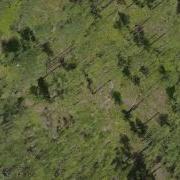 RGB Point Cloud Flythrough