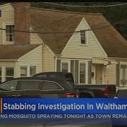 One Person In Custody In Waltham Stabbing Investigation