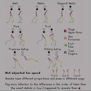 Quadruped Movement Animation Tutorial Walk Gallop Trot Pace Animation