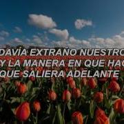 Better With You This Wild Life Español