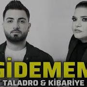 Kibariye Taladro Gidemem 2025