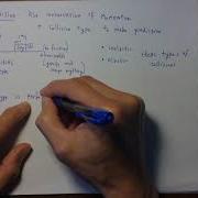 Collision Problem Calculation 1D 1 Of 6