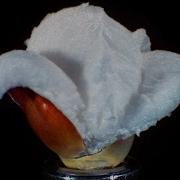 Popping Popcorn At 30 000 FPS In Ultra Slow Motion