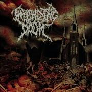 Nailed Dead Risen